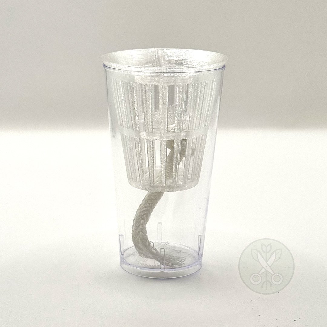 Self-Watering Alocasia Corm & Pup Propagation Pot in Clear