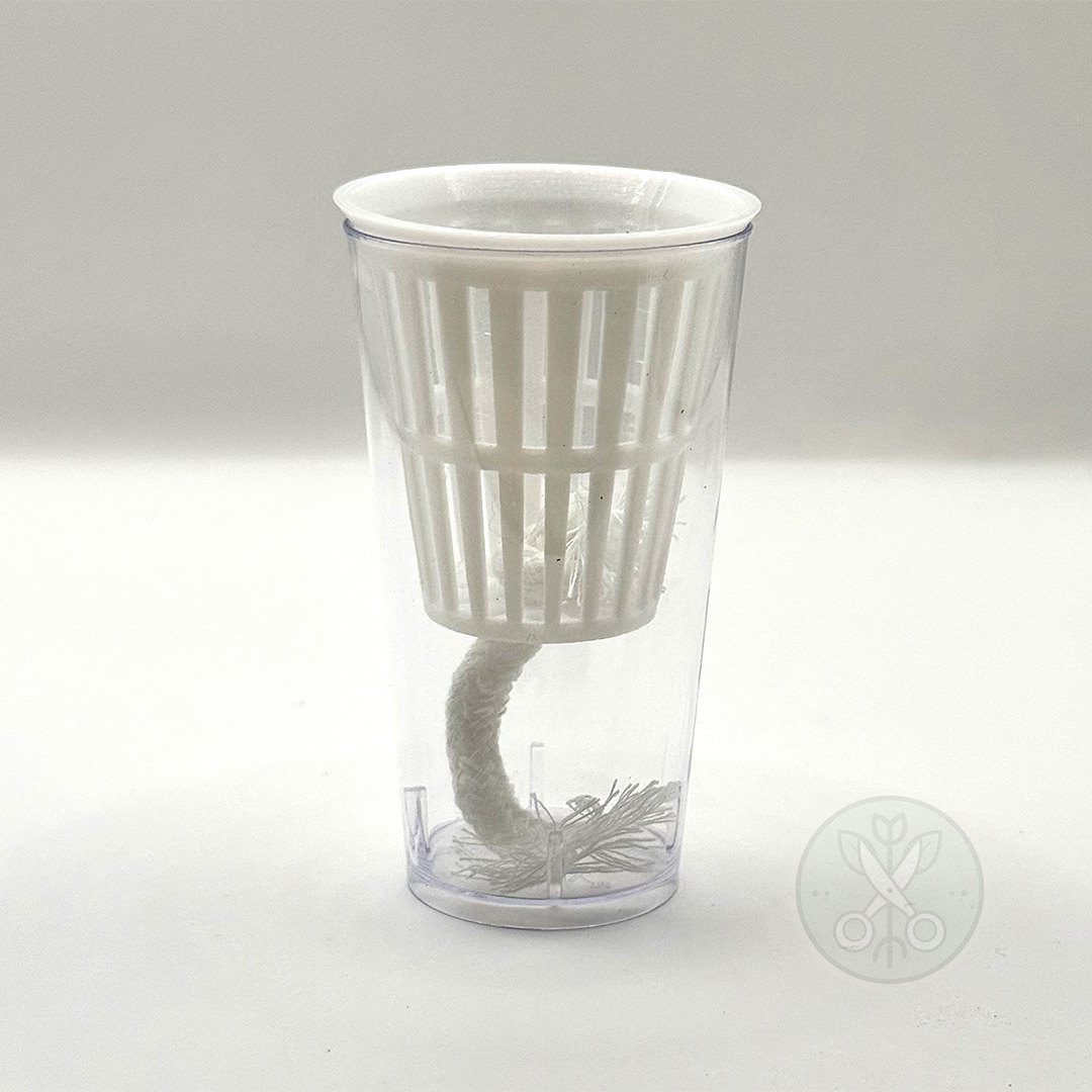 White 5 cm self-watering Alocasia corm and pup propagation pot shown as a product example; the PETG basket is made to order in the customer’s selected colour